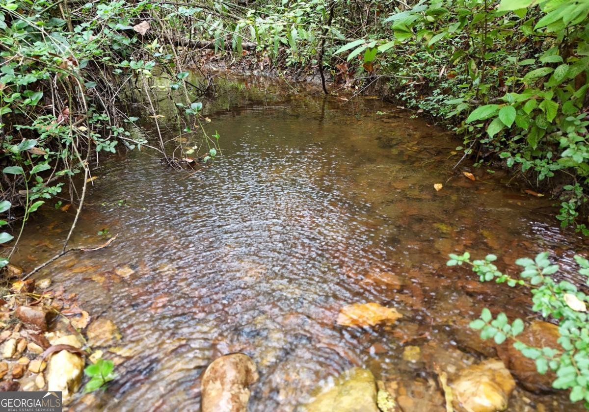 163 Moccasin Lane Blairsville - 3