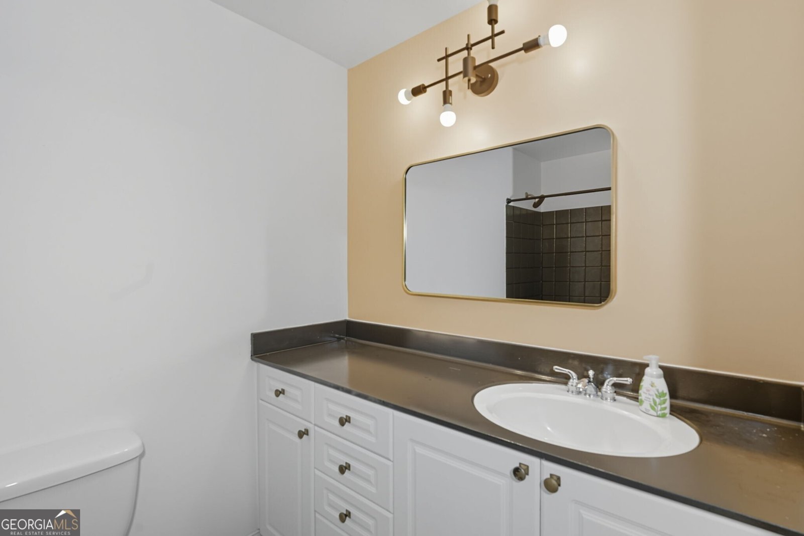 1727 Liberty Lane Roswell - 18