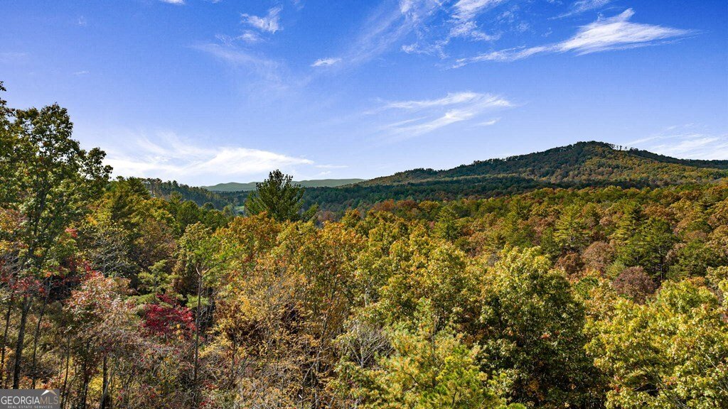 162 Fairy Cross Lane Mineral Bluff - 45