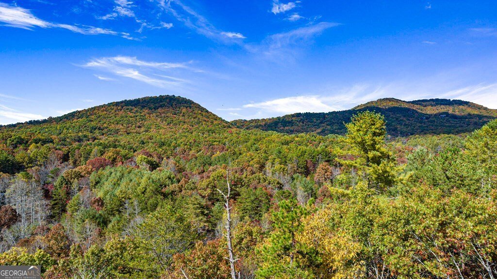 162 Fairy Cross Lane Mineral Bluff - 46