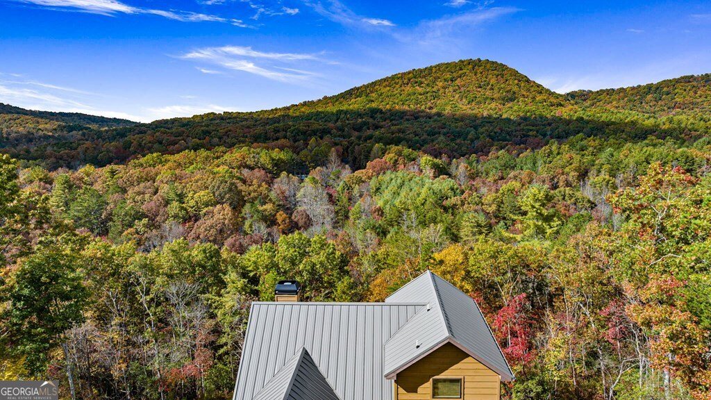 162 Fairy Cross Lane Mineral Bluff - 48