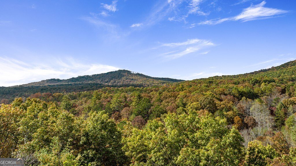 162 Fairy Cross Lane Mineral Bluff - 6