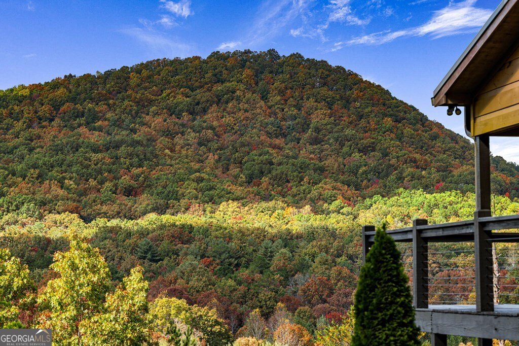 162 Fairy Cross Lane Mineral Bluff - 61