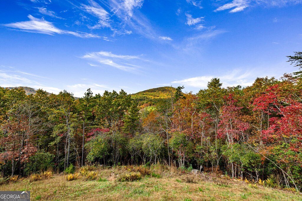 162 Fairy Cross Lane Mineral Bluff - 65