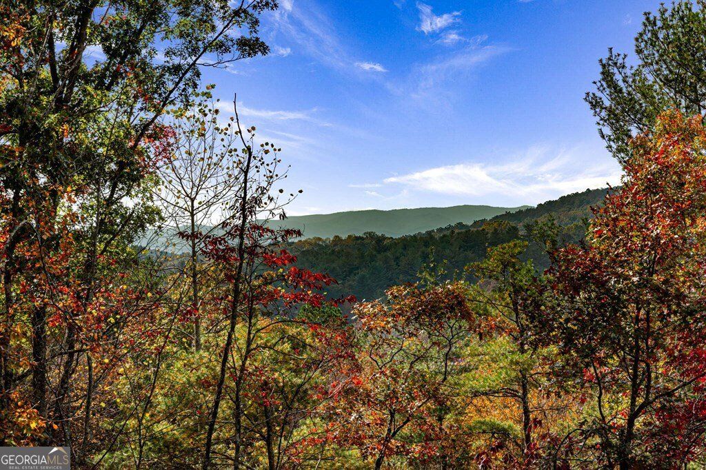 162 Fairy Cross Lane Mineral Bluff - 68