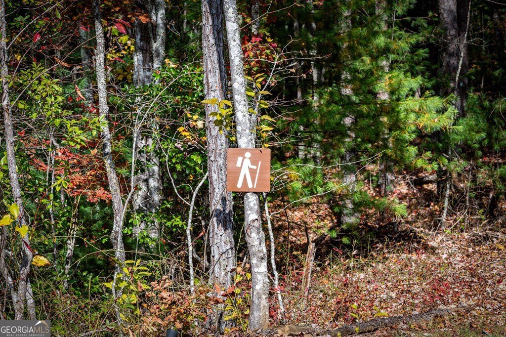 162 Fairy Cross Lane Mineral Bluff - 69