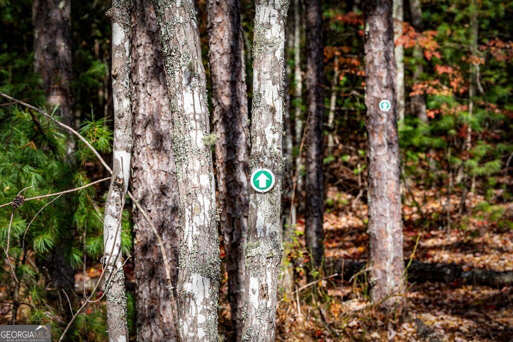 162 Fairy Cross Lane Mineral Bluff - 71