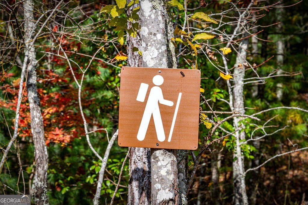 162 Fairy Cross Lane Mineral Bluff - 72