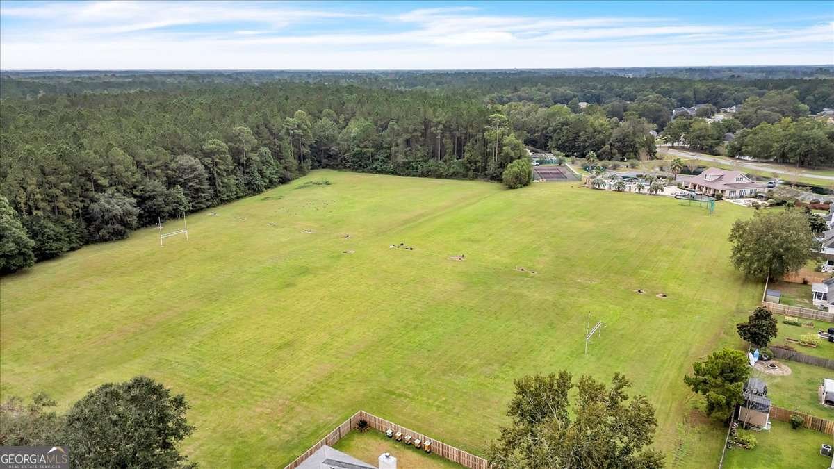 223 Pebblestone Drive Bloomingdale - 12