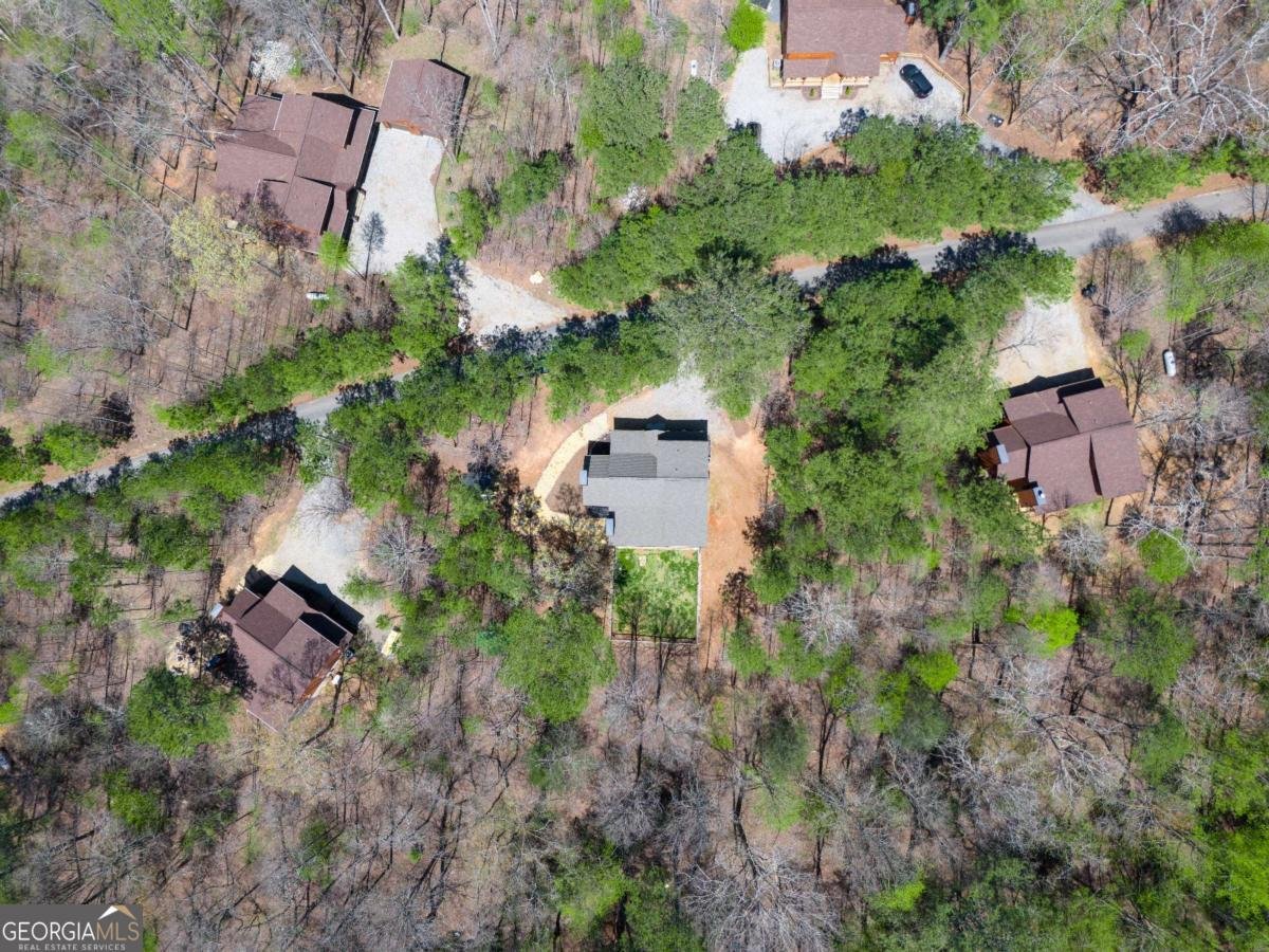 161 Windy Valley Trail Blue Ridge - 52