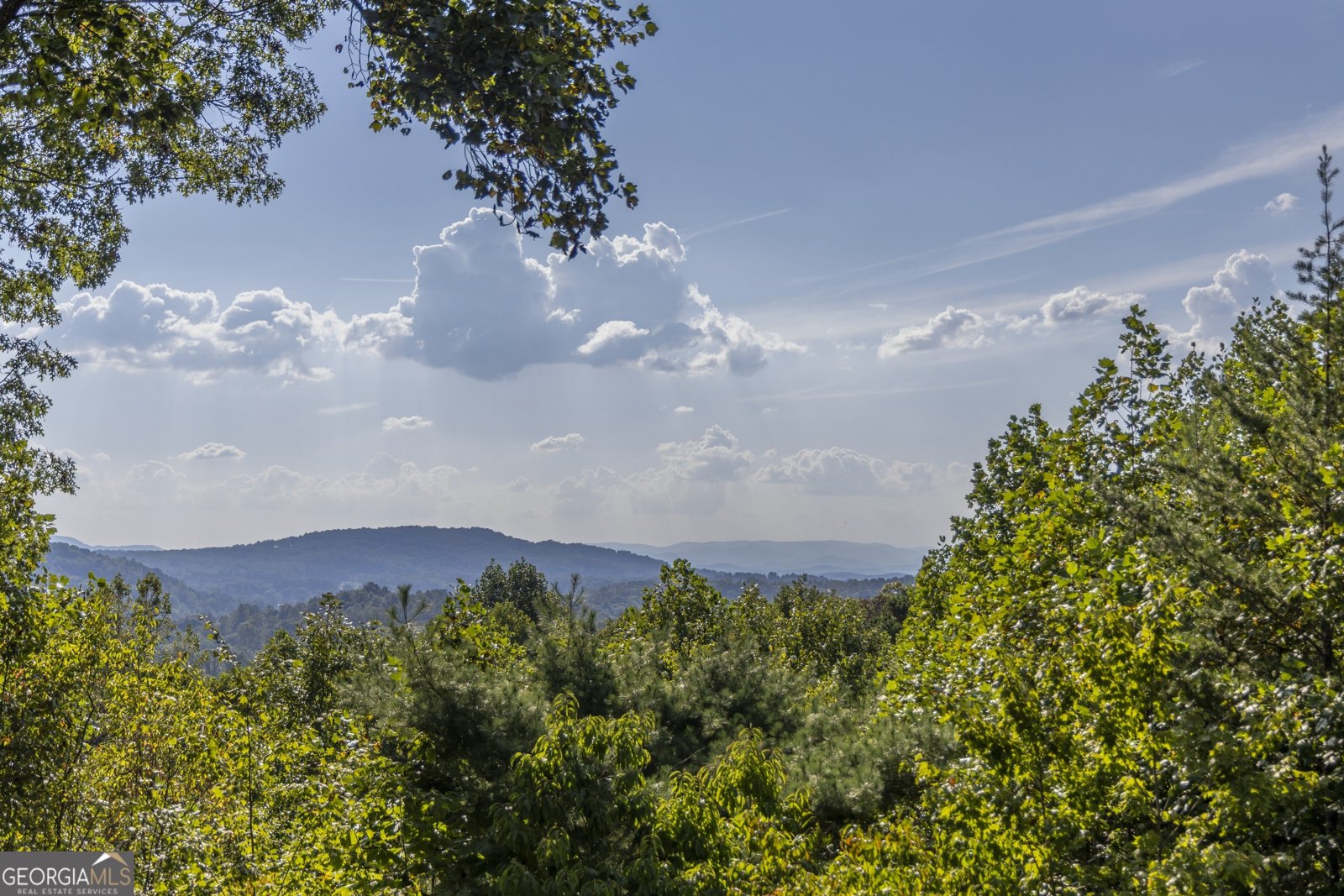 194 Squirrel Chase Morganton - 88