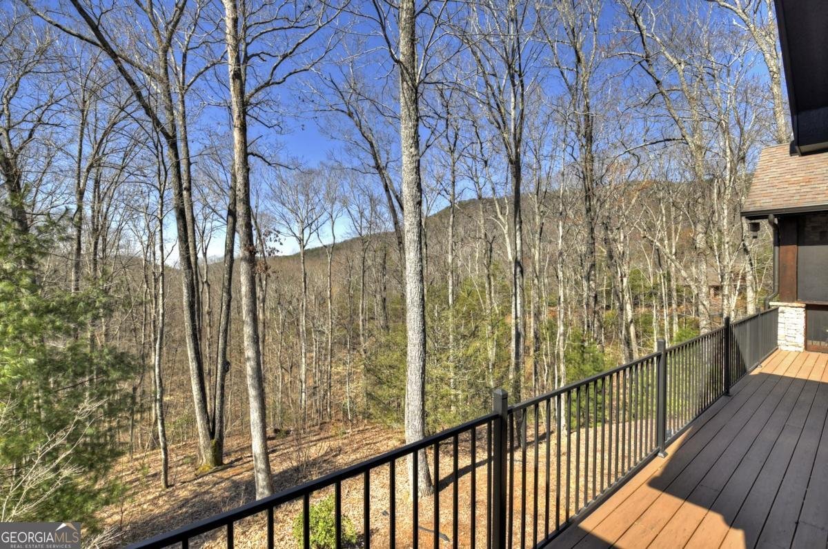 244 Wilderness Way Ellijay - 44