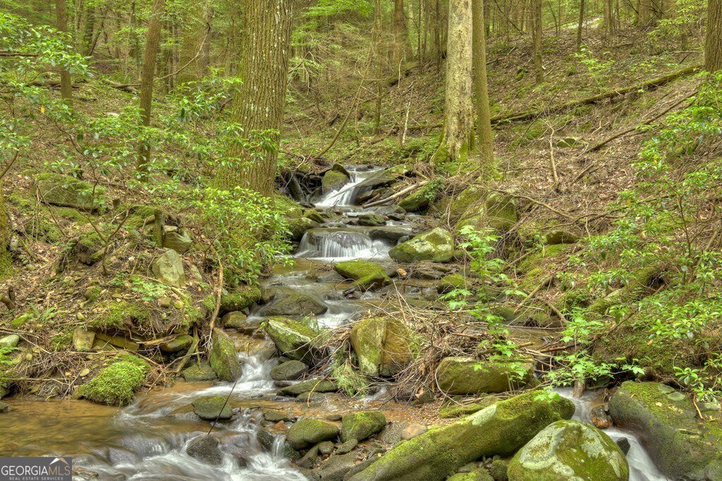 244 Wilderness Way Ellijay - 50