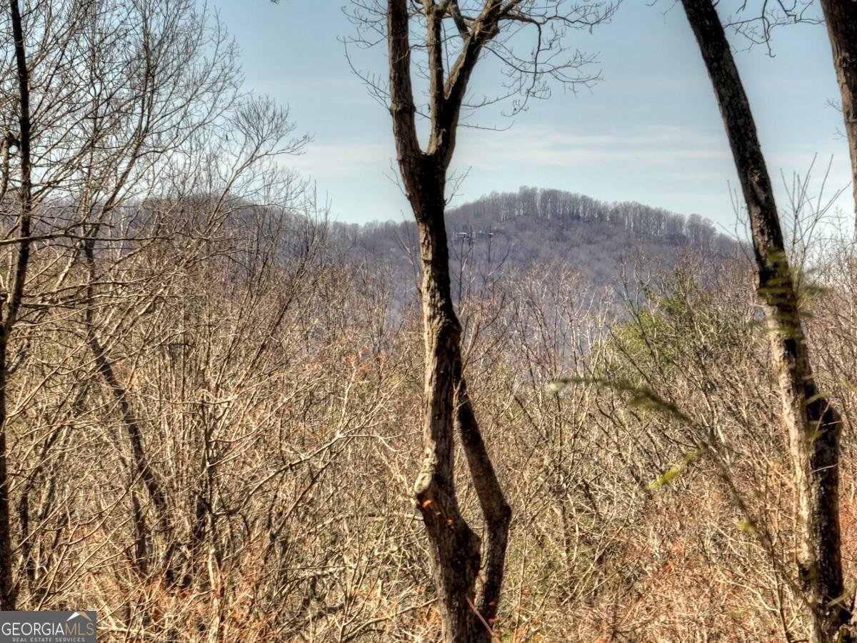 244 Wilderness Way Ellijay - 53