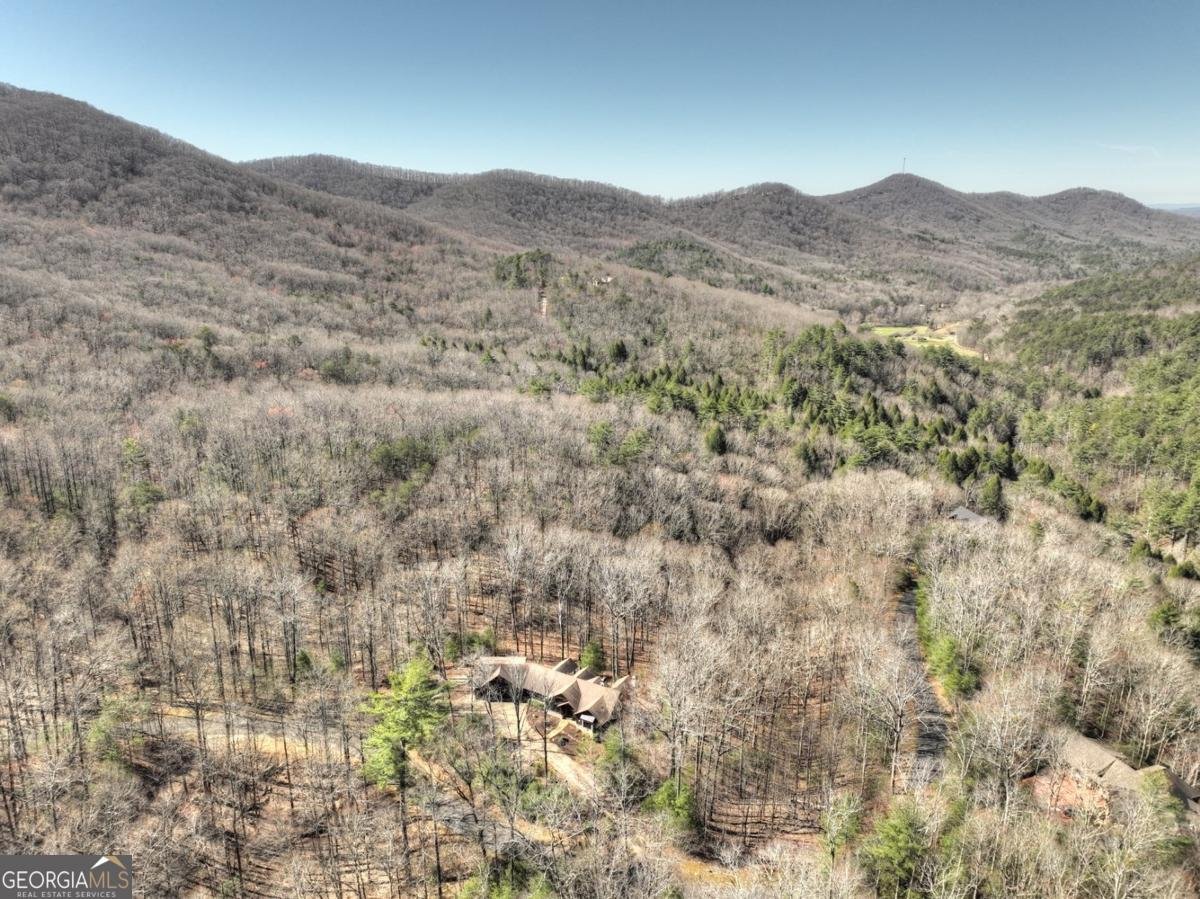 244 Wilderness Way Ellijay - 54