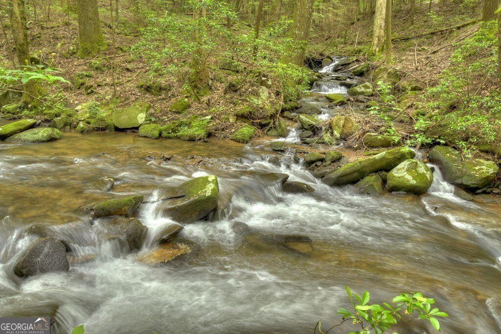 244 Wilderness Way Ellijay - 77