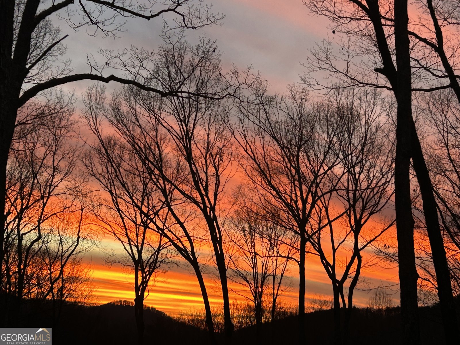 244 Wilderness Way Ellijay - 81