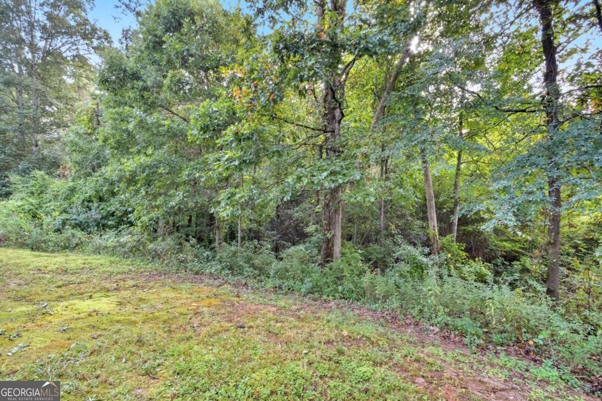 140 Sunflower Lane Covington - 42