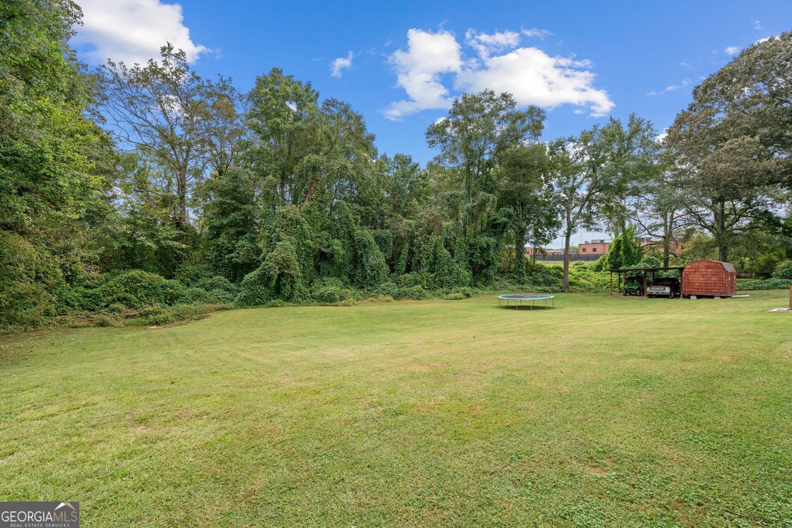 254 Eason Street Bowdon - 45