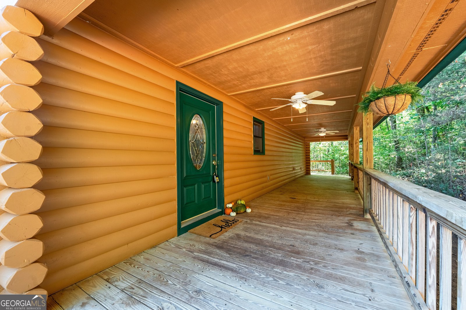 314 Ruby Ridge Drive Young Harris - 8