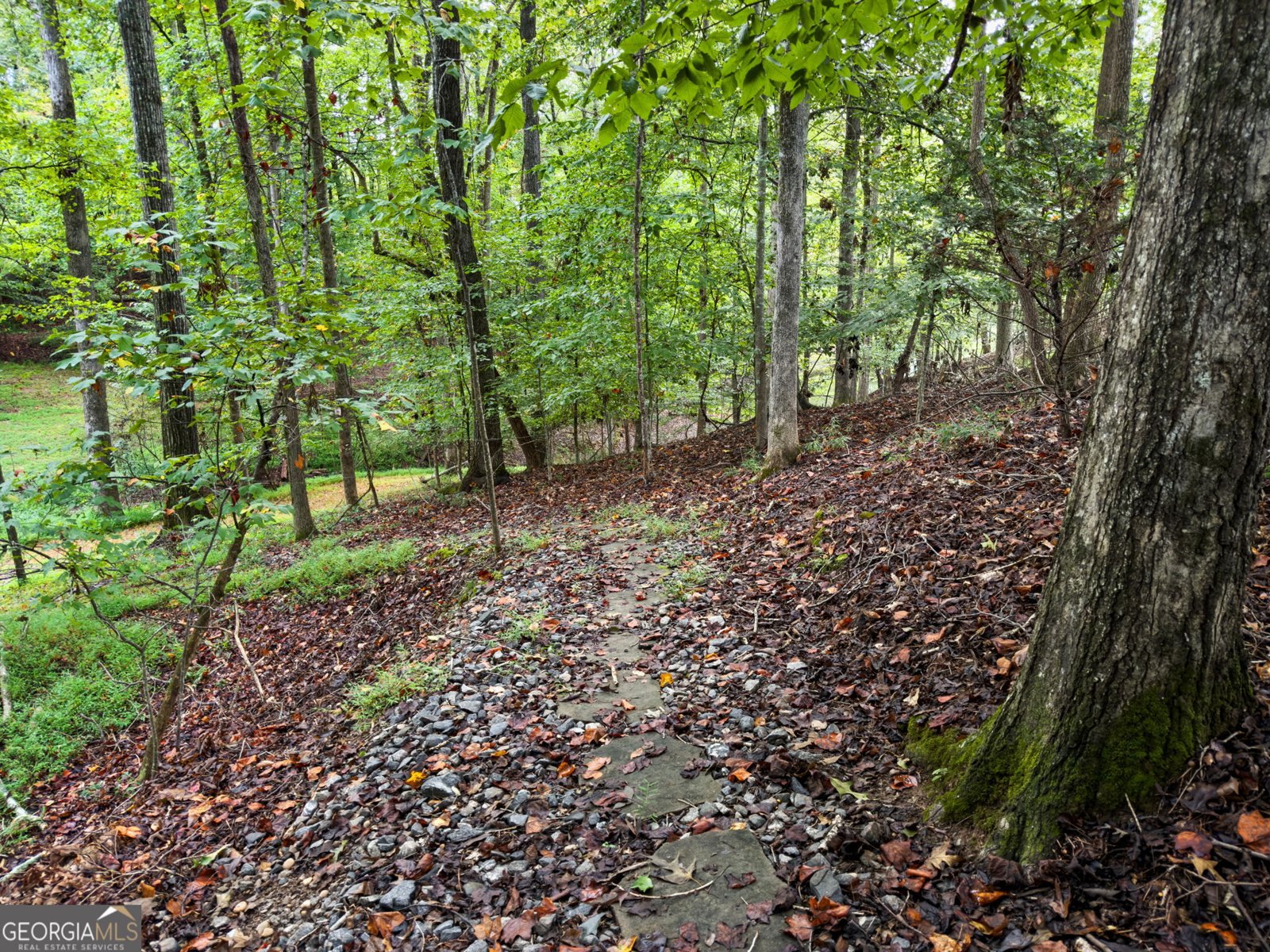 45 Lakepoint Drive Dawsonville - 63