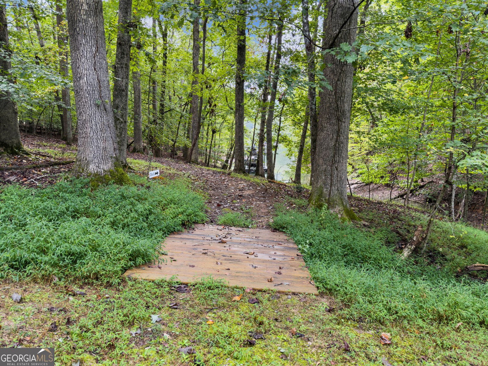 45 Lakepoint Drive Dawsonville - 65