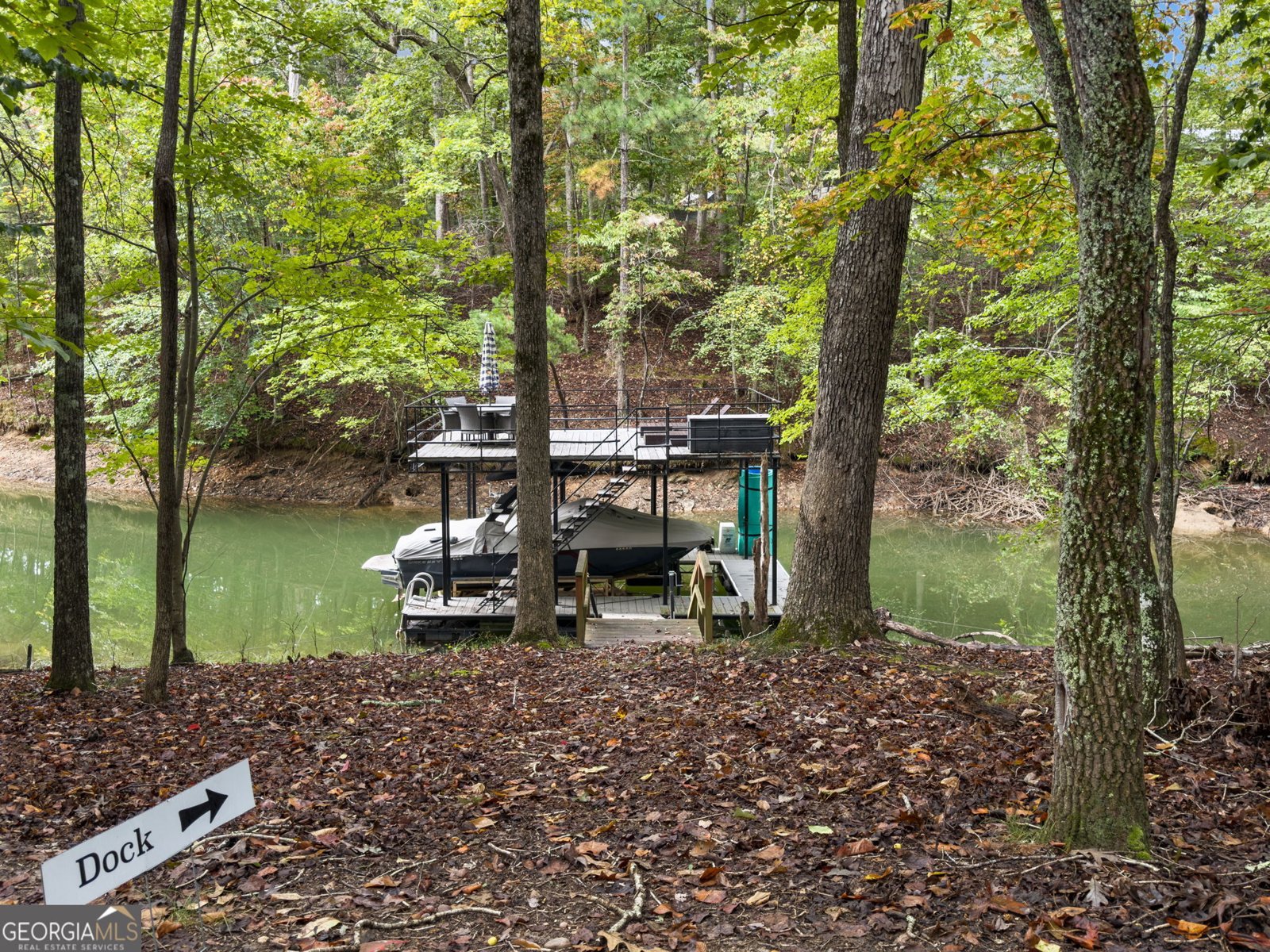 45 Lakepoint Drive Dawsonville - 67