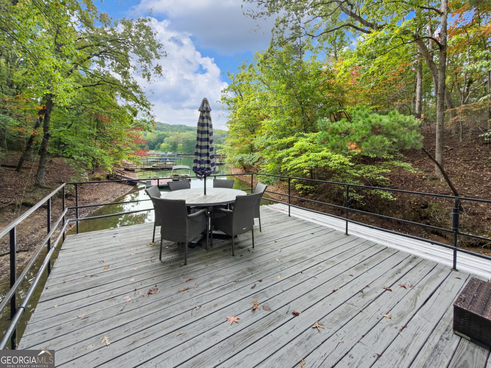 45 Lakepoint Drive Dawsonville - 69