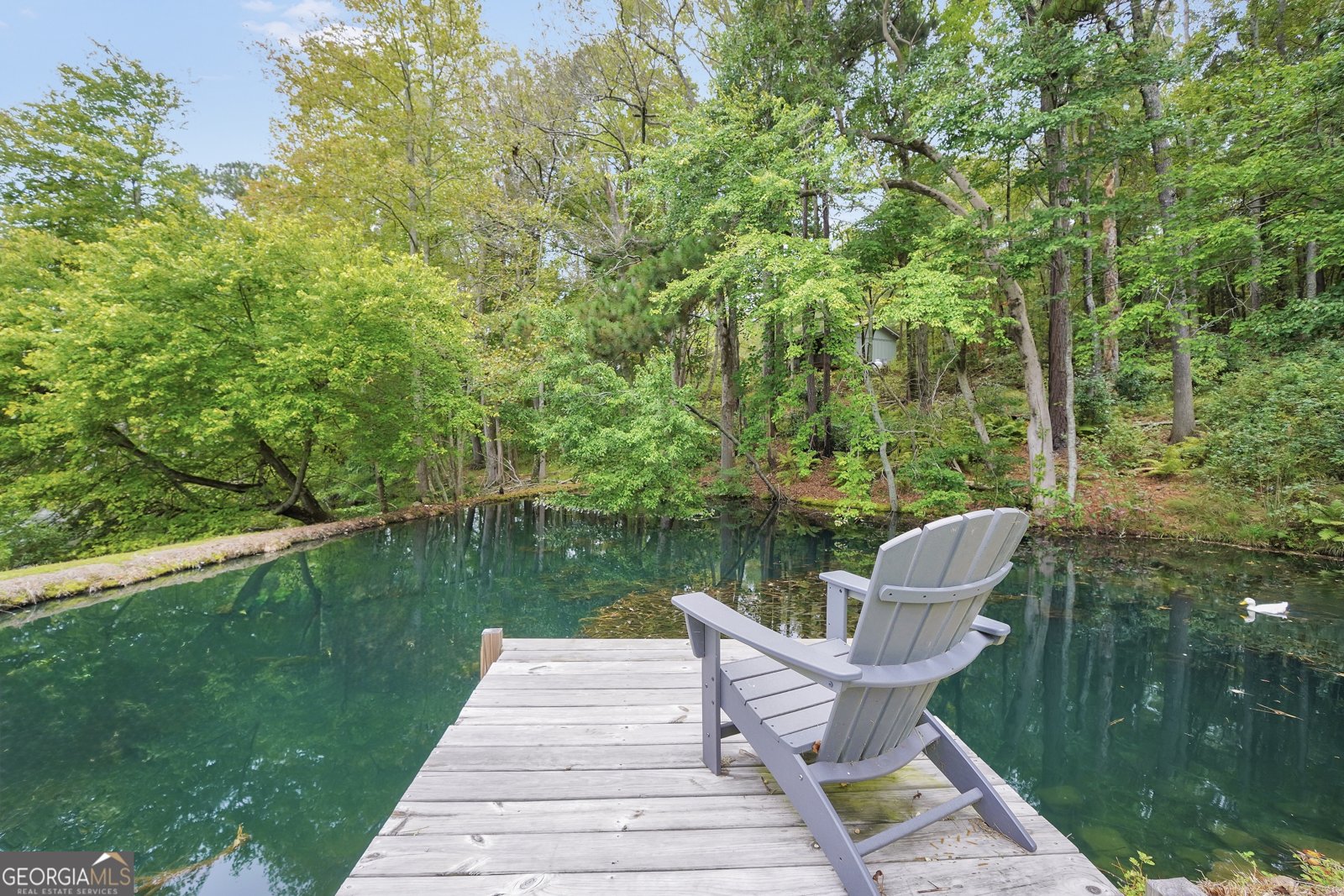686 Burkett Road Thomaston - 40