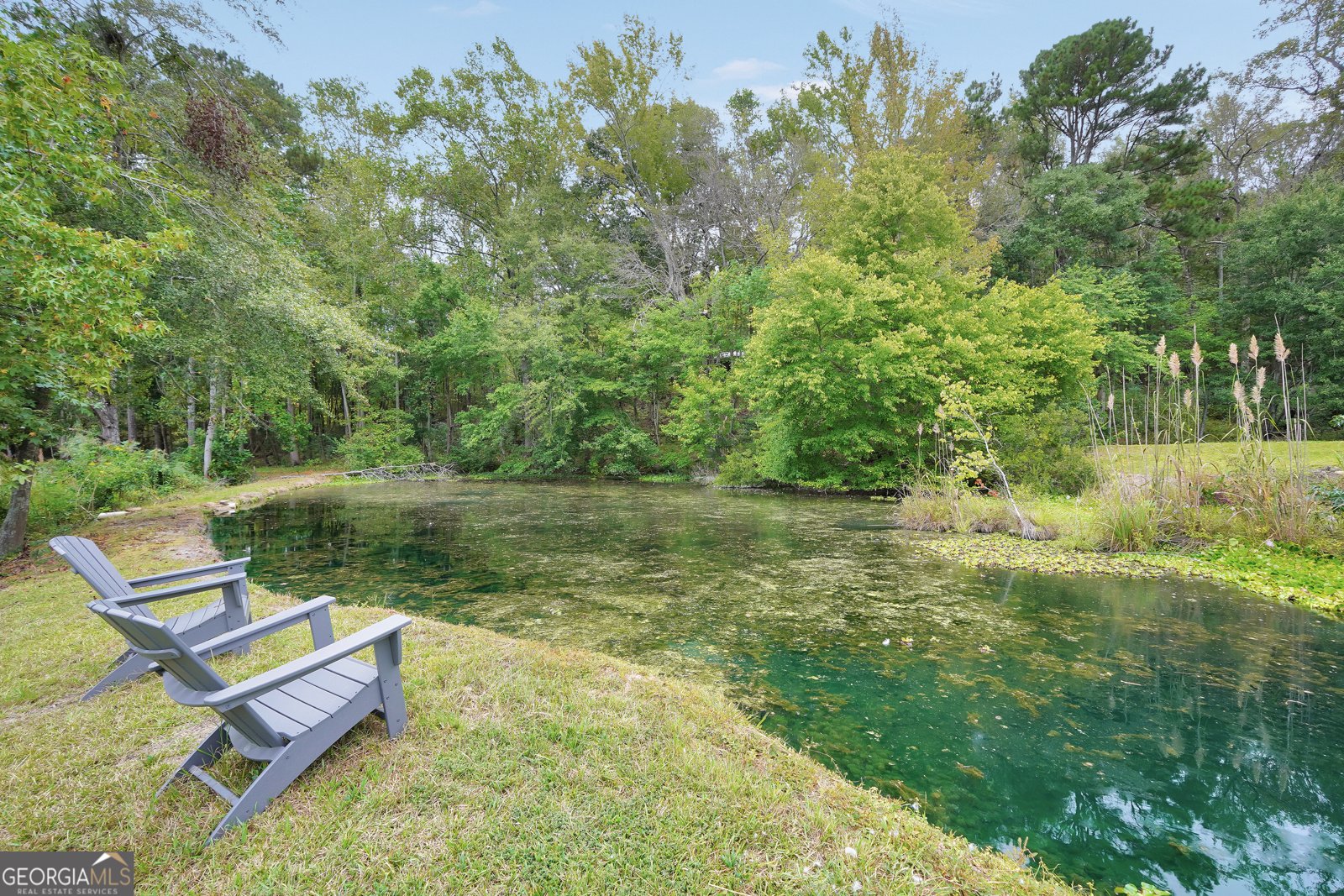 686 Burkett Road Thomaston - 41