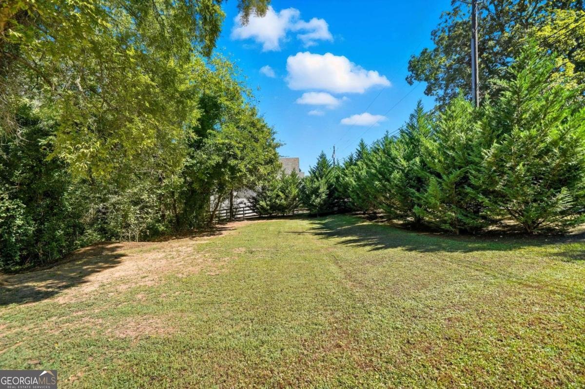 256 Cartersville Street Ball Ground - 50