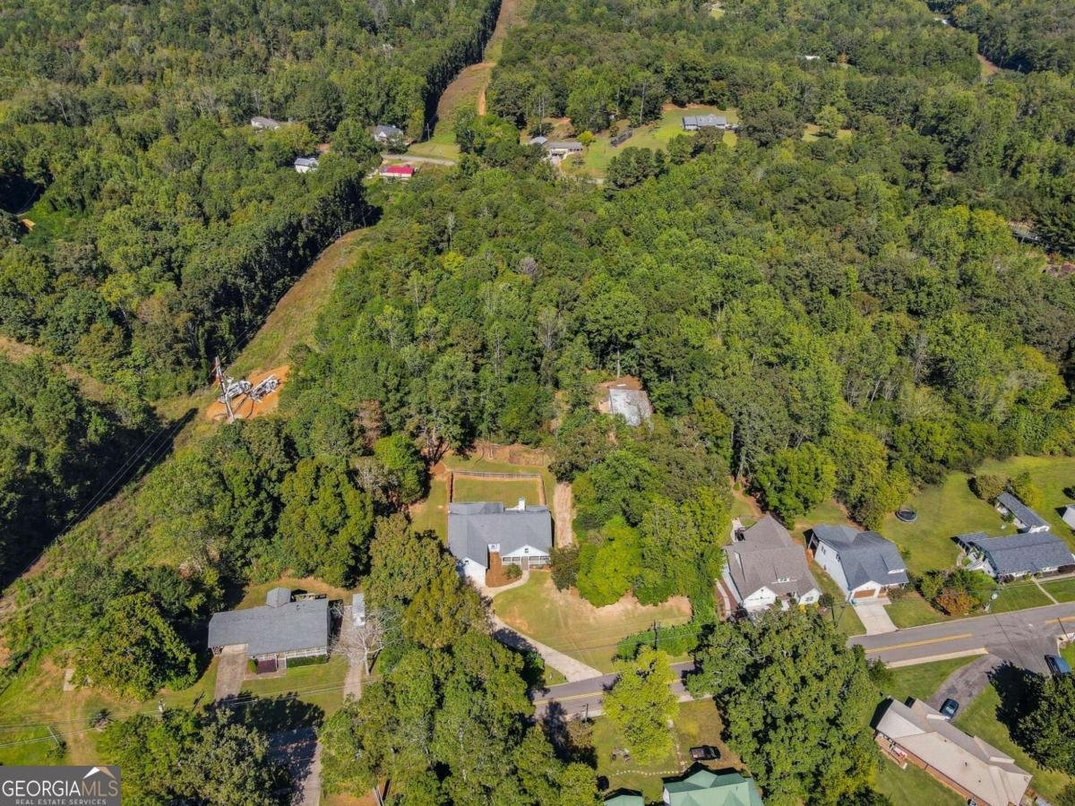 256 Cartersville Street Ball Ground - 51