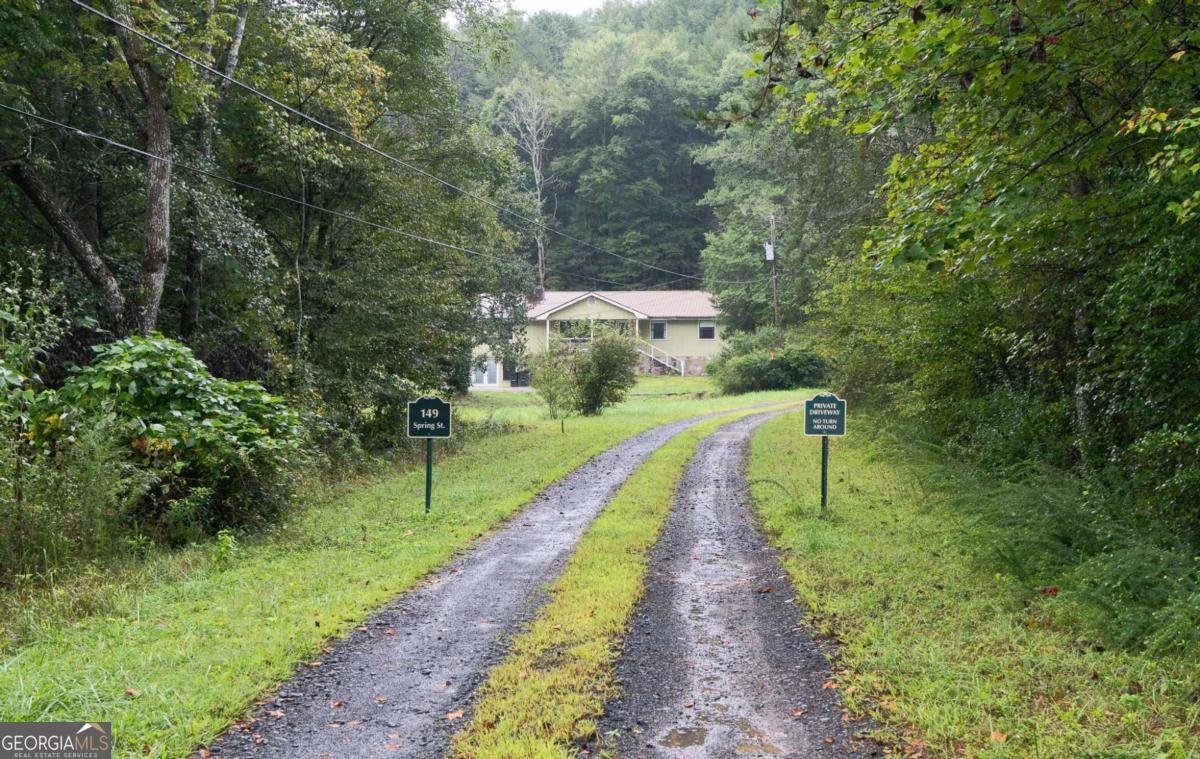 149 Spring Street Mineral Bluff - 4