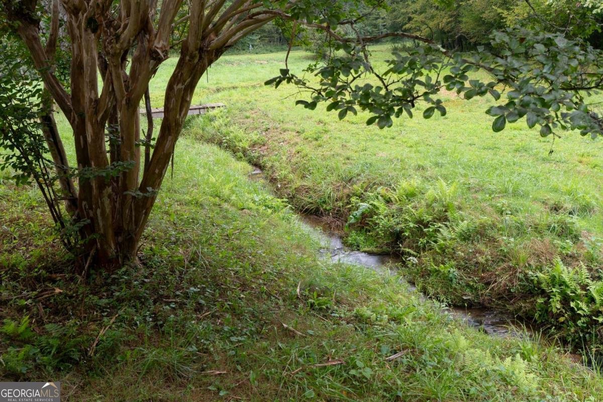 149 Spring Street Mineral Bluff - 9