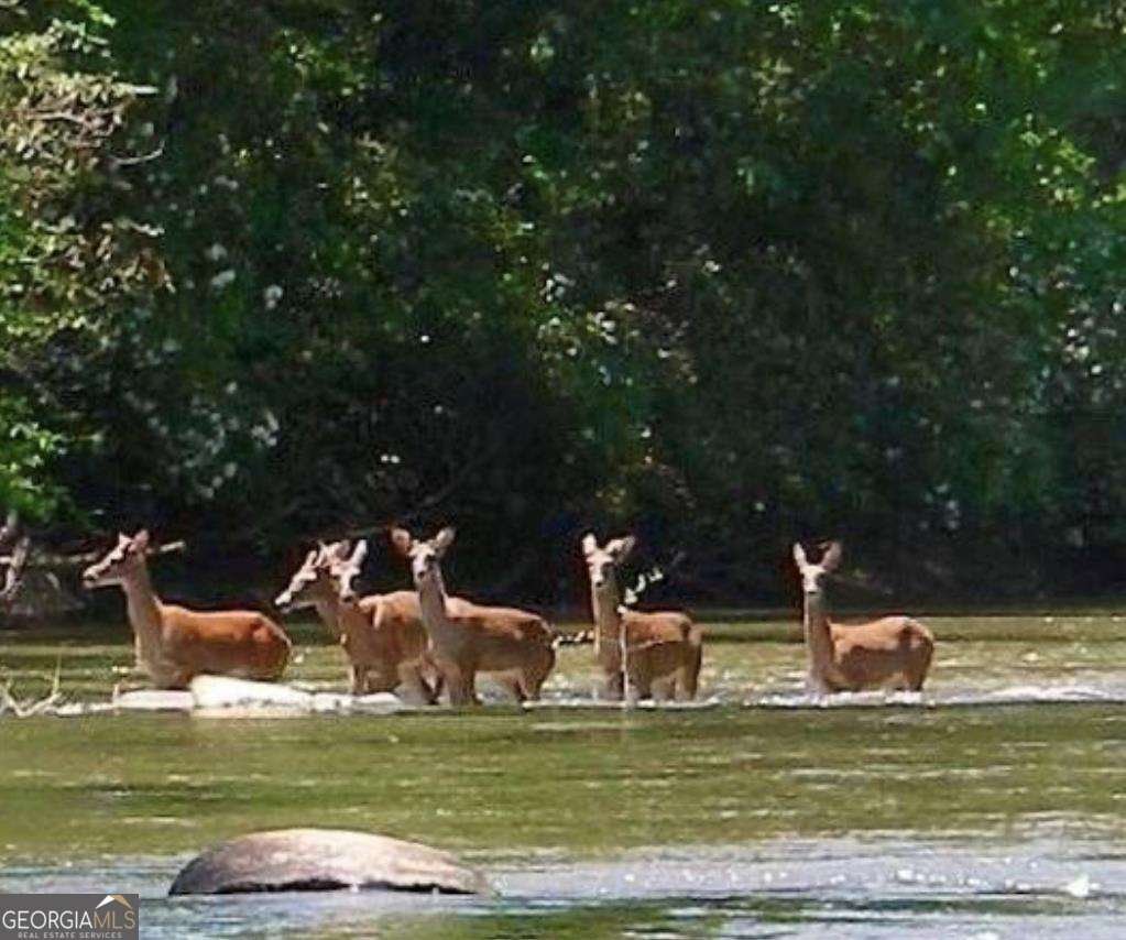 27 Monet Drive Ellijay - 18