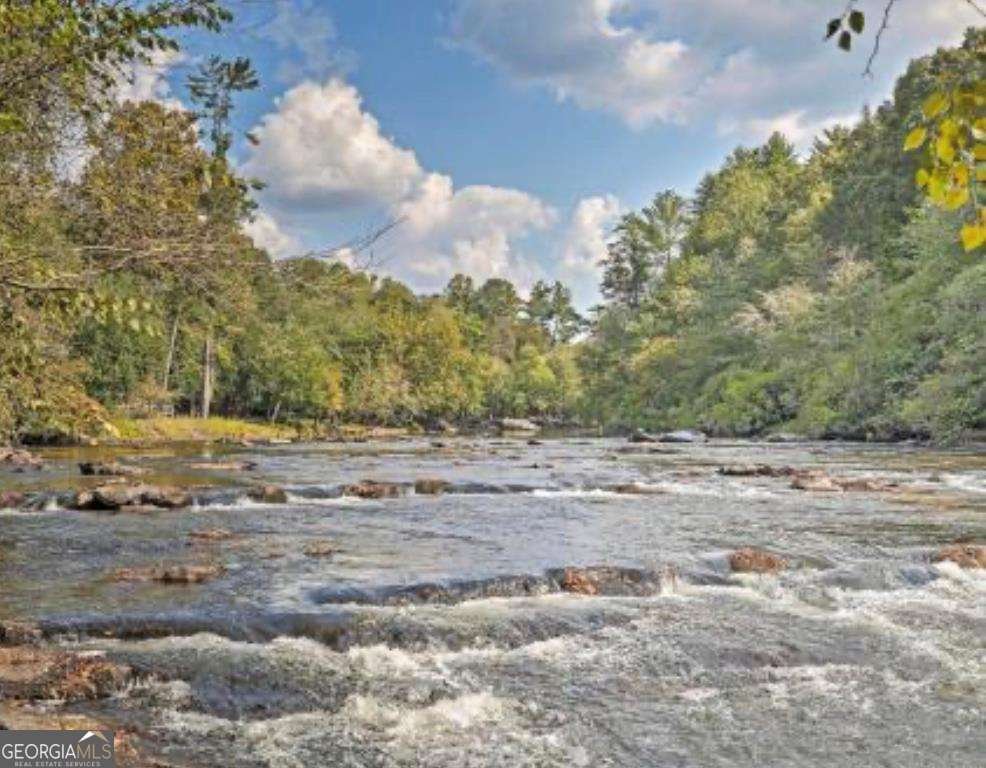 27 Monet Drive Ellijay - 64