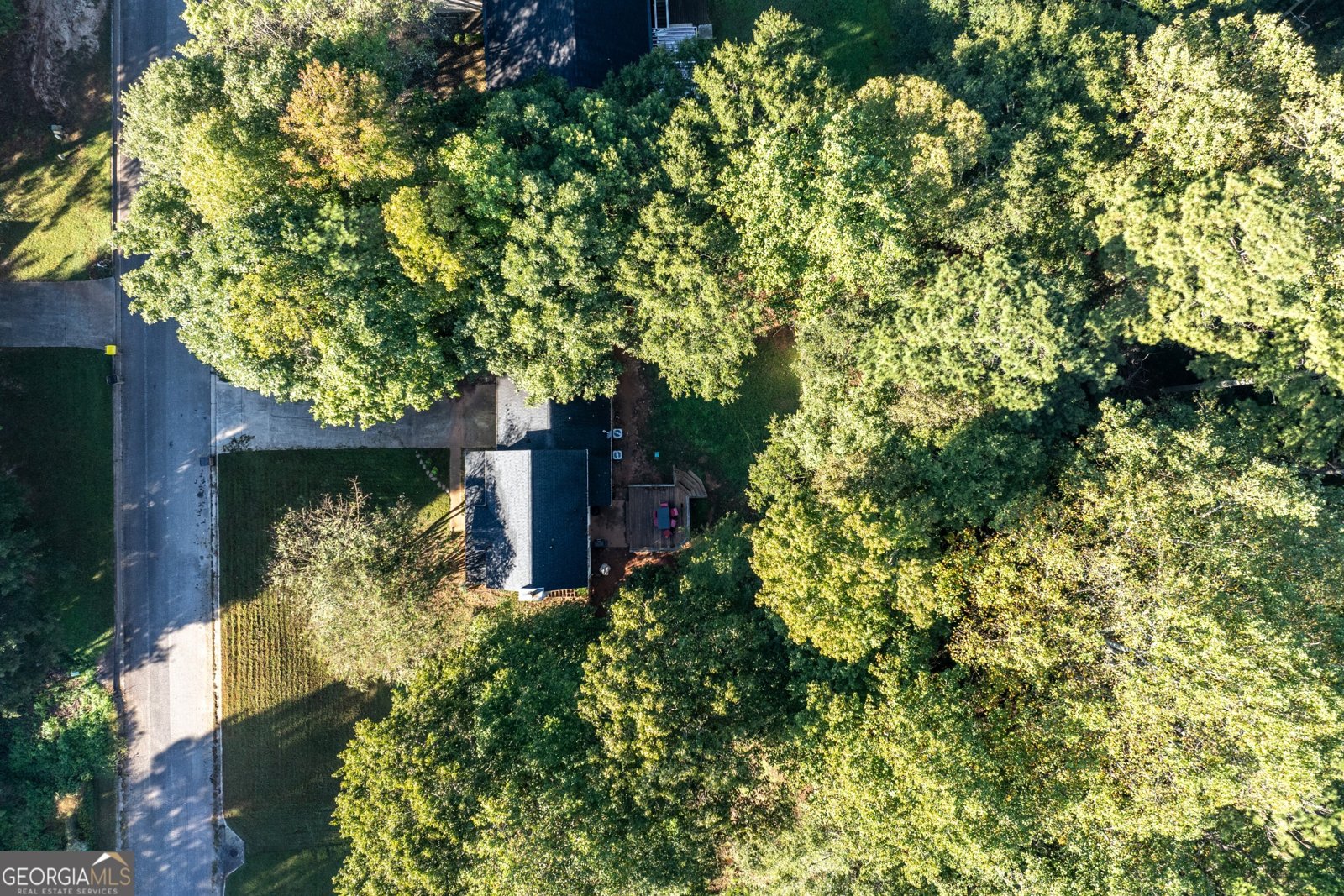 160 Azalea Drive Winder - 31
