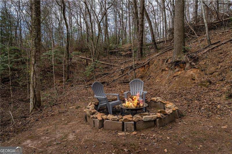 3185 Old Flat Branch Road Ellijay - 1