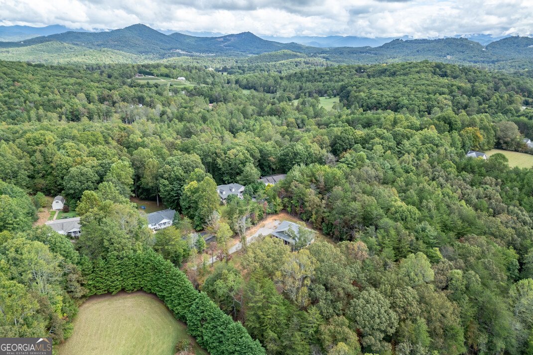 7450 Hooper Cove Road Young Harris - 18