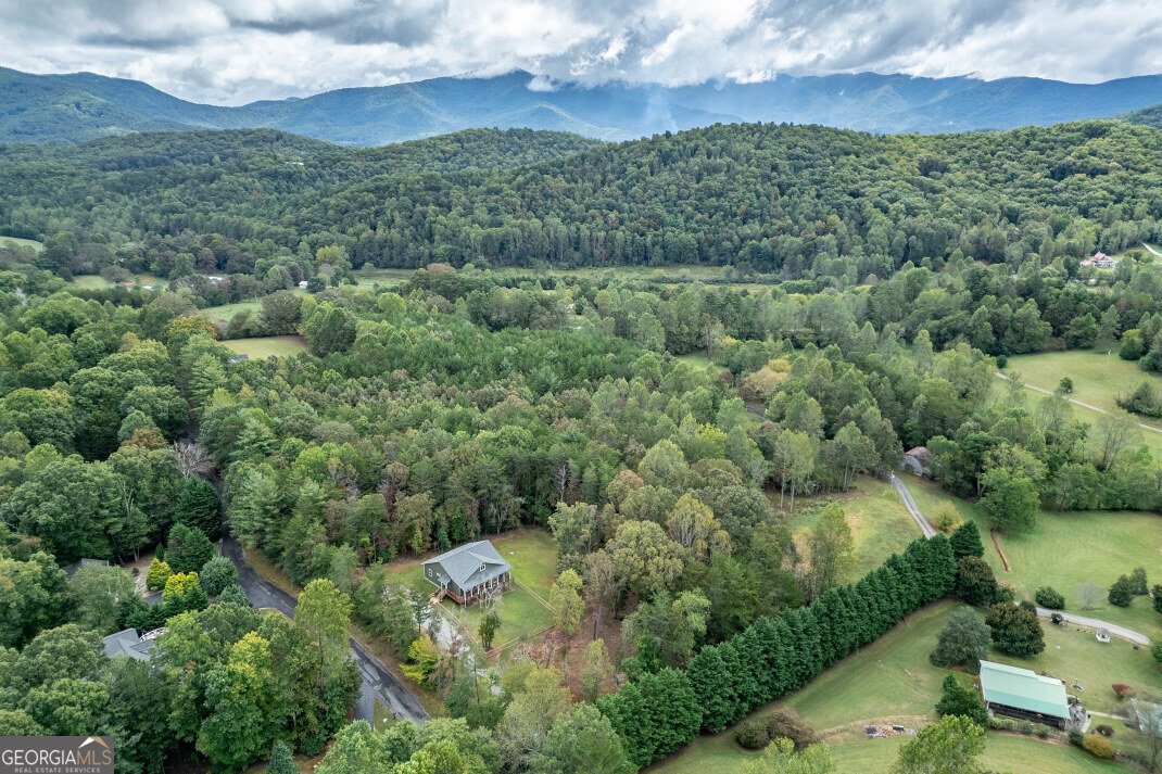 7450 Hooper Cove Road Young Harris - 20