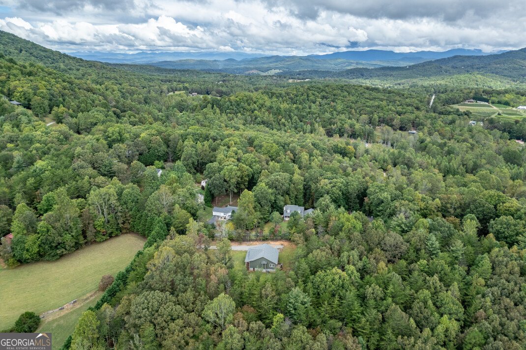 7450 Hooper Cove Road Young Harris - 21