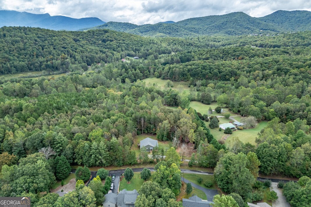 7450 Hooper Cove Road Young Harris - 25