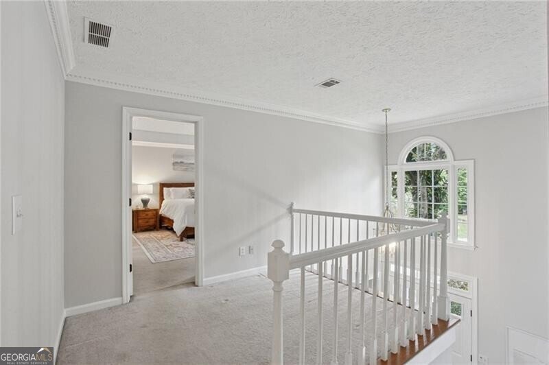 805 Silver Mound Circle Acworth - 19