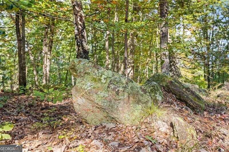 722 Yonah Mountain Road Cleveland - 11