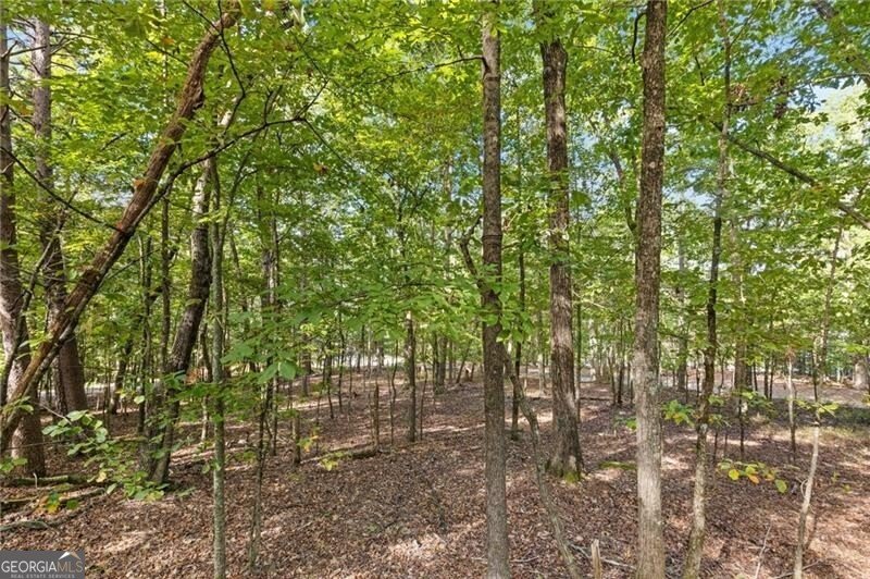 722 Yonah Mountain Road Cleveland - 64