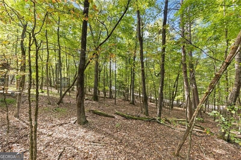 722 Yonah Mountain Road Cleveland - 65