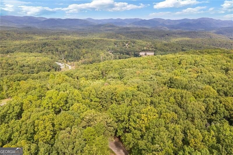 722 Yonah Mountain Road Cleveland - 71