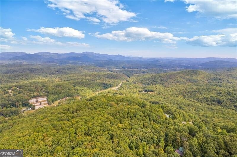 722 Yonah Mountain Road Cleveland - 74