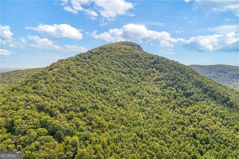 722 Yonah Mountain Road Cleveland - 76