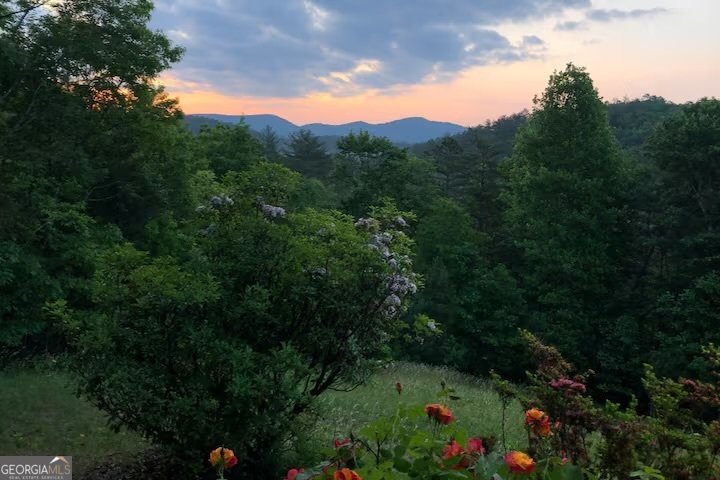 234 Goble Gap Road Clayton - 8
